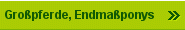 Großpferde, Endmaßponys